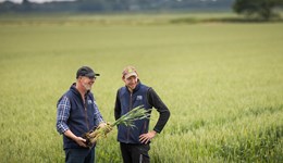 Pre-harvest Monitor Farm open evening: North West